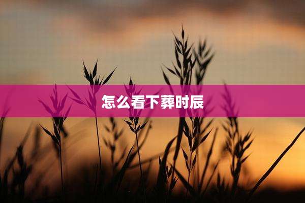 怎么看下葬时辰