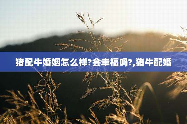 猪配牛婚姻怎么样?会幸福吗?,猪牛配婚