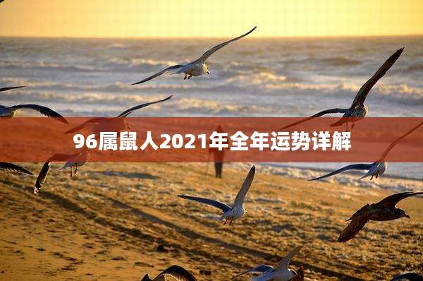 96属鼠人2021年全年运势详解