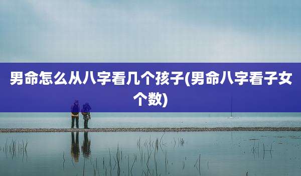男命怎么从八字看几个孩子(男命八字看子女个数)