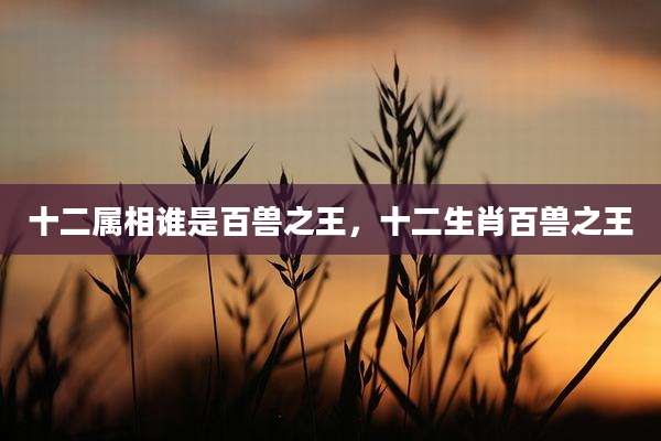 十二属相谁是百兽之王,十二生肖百兽之王