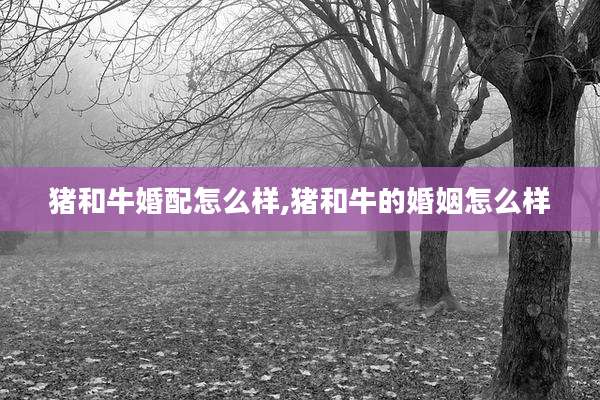 猪和牛婚配怎么样,猪和牛的婚姻怎么样