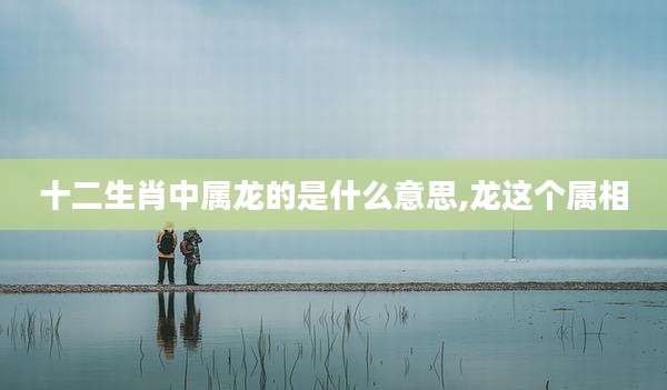 十二生肖中属龙的是什么意思,龙这个属相