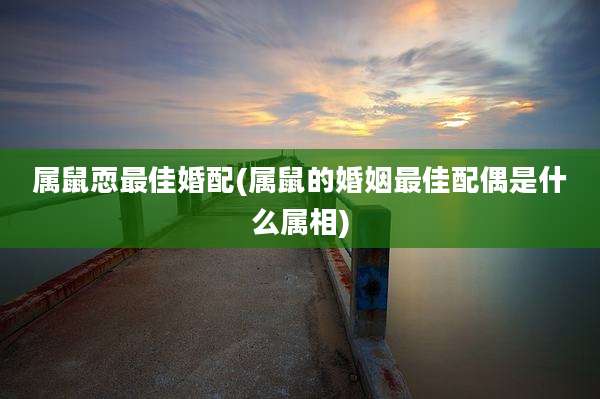 属鼠恧最佳婚配(属鼠的婚姻最佳配偶是什么属相)