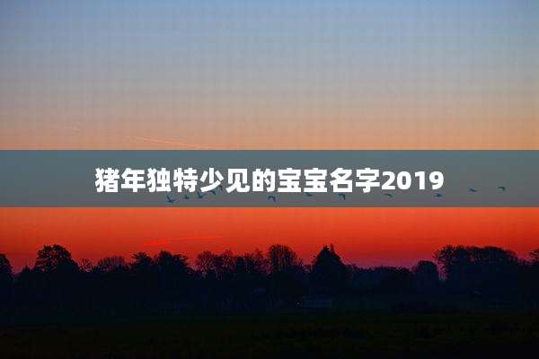 猪年独特少见的宝宝名字2019
