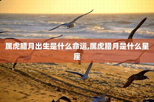 属虎腊月出生是什么命运,属虎腊月是什么星座
