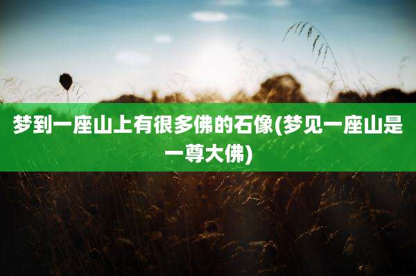 梦到一座山上有很多佛的石像(梦见一座山是一尊大佛)