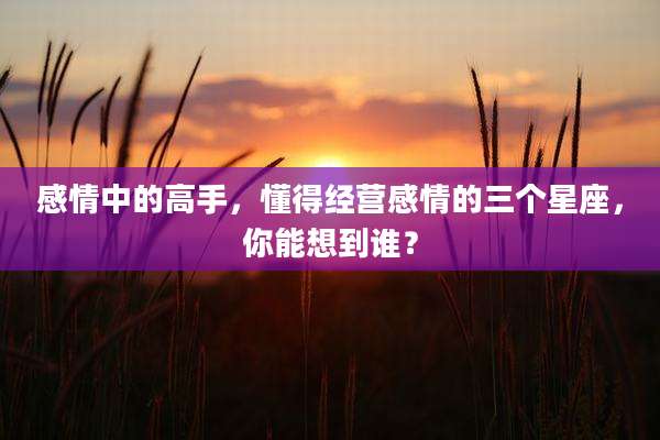 感情中的高手,懂得经营感情的三个星座,你能想到谁?