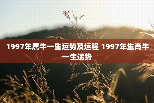 1997年属牛一生运势及运程 1997年生肖牛一生运势