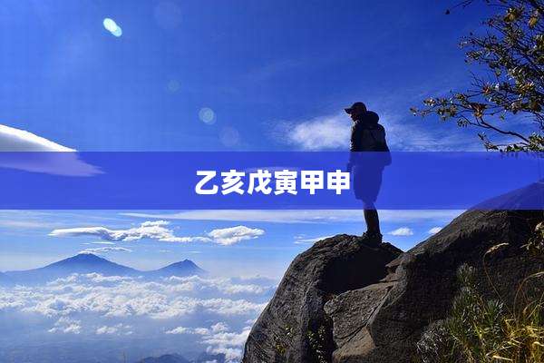 乙亥戊寅甲申