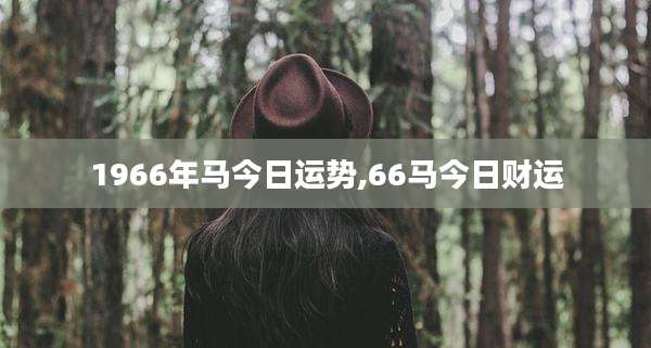 1966年马今日运势,66马今日财运