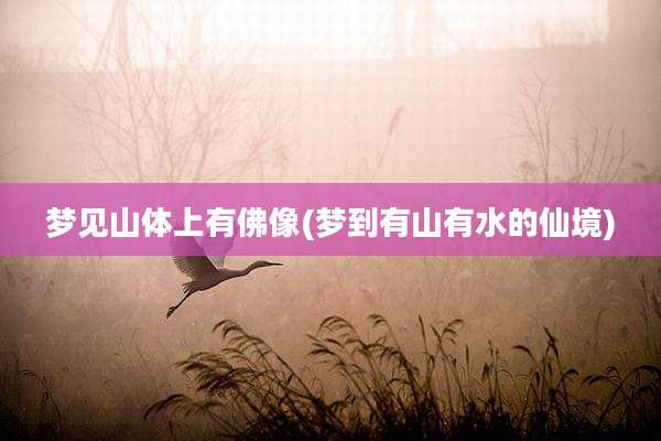 梦见山体上有佛像(梦到有山有水的仙境)