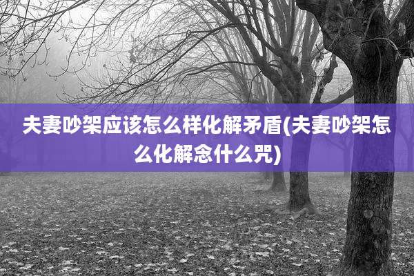 夫妻吵架应该怎么样化解矛盾(夫妻吵架怎么化解念什么咒)