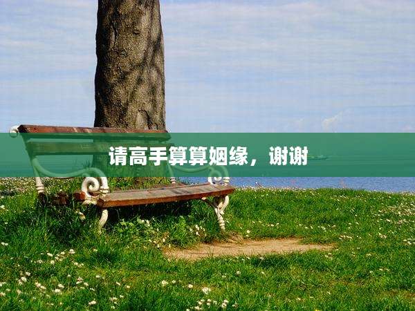 请高手算算姻缘,谢谢