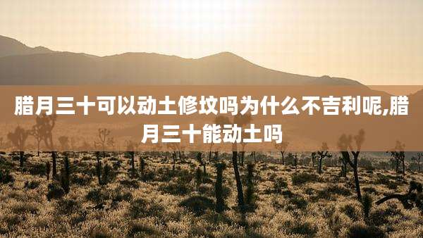 腊月三十可以动土修坟吗为什么不吉利呢,腊月三十能动土吗