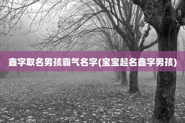鑫字取名男孩霸气名字(宝宝起名鑫字男孩)