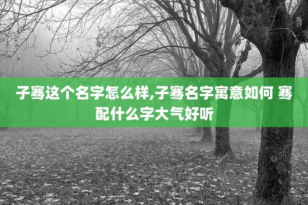 子骞这个名字怎么样,子骞名字寓意如何 骞配什么字大气好听