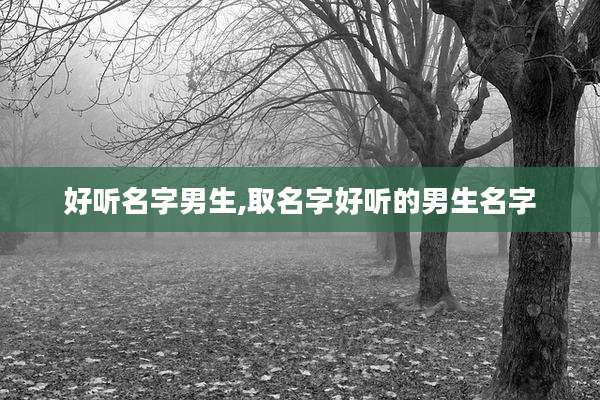 好听名字男生,取名字好听的男生名字