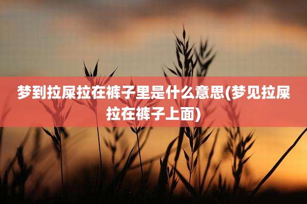 梦到拉屎拉在裤子里是什么意思(梦见拉屎拉在裤子上面)