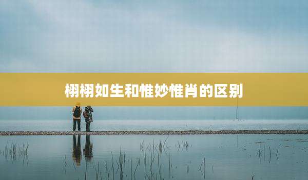 栩栩如生和惟妙惟肖的区别