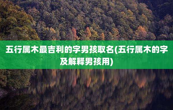五行属木最吉利的字男孩取名(五行属木的字及解释男孩用)