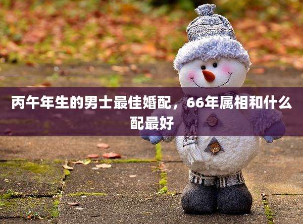 丙午年生的男士最佳婚配，66年属相和什么配最好