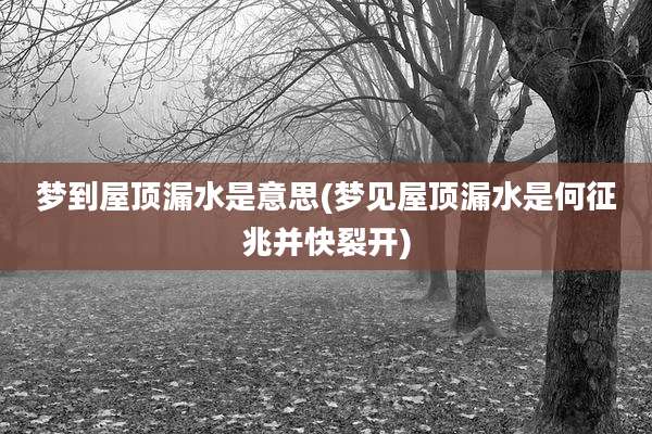 梦到屋顶漏水是意思(梦见屋顶漏水是何征兆并快裂开)
