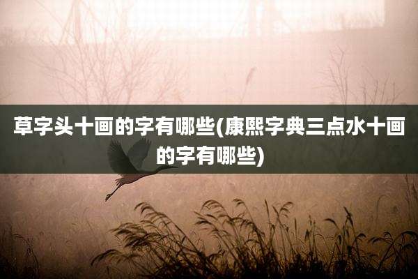 草字头十画的字有哪些(康熙字典三点水十画的字有哪些)