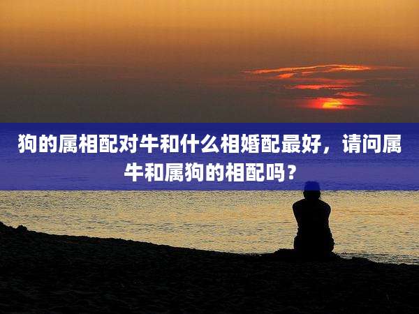 狗的属相配对牛和什么相婚配最好,请问属牛和属狗的相配吗?