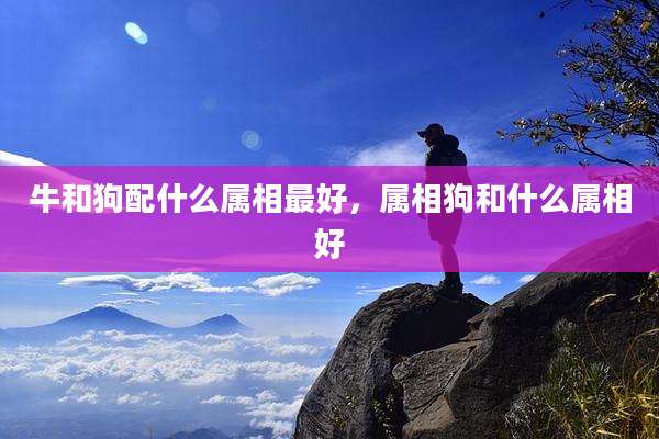 牛和狗配什么属相最好,属相狗和什么属相好