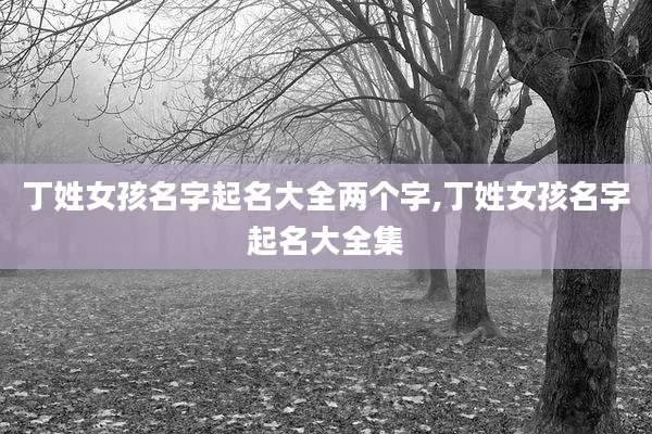 丁姓女孩名字起名大全两个字,丁姓女孩名字起名大全集