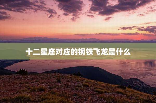 十二星座对应的钢铁飞龙是什么