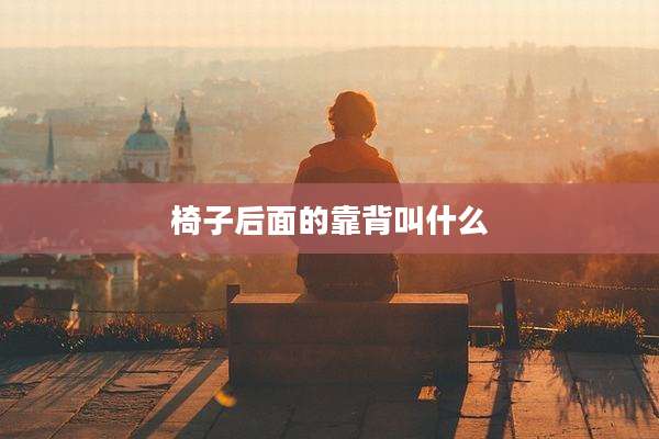 椅子后面的靠背叫什么