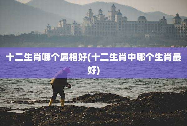 十二生肖哪个属相好(十二生肖中哪个生肖最好)