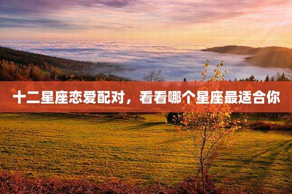 十二星座恋爱配对，看看哪个星座最适合你