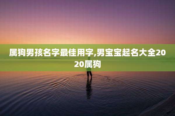 属狗男孩名字最佳用字,男宝宝起名大全2020属狗