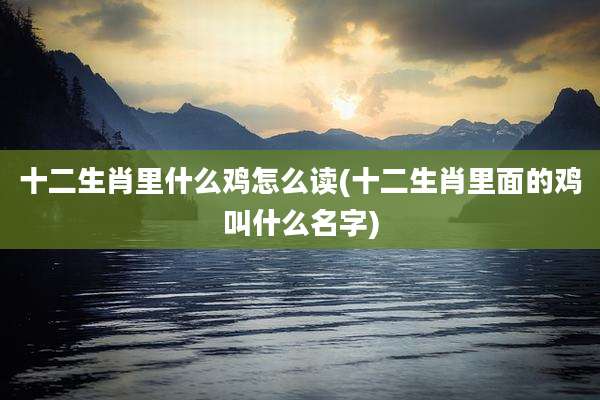 十二生肖里什么鸡怎么读(十二生肖里面的鸡叫什么名字)