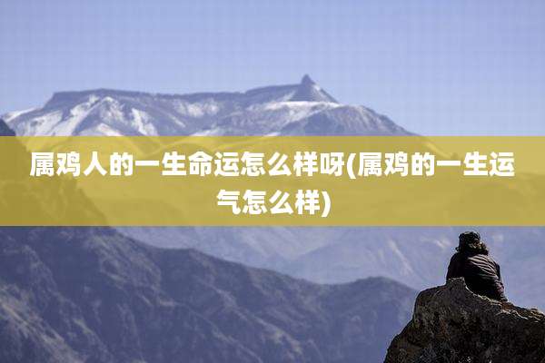 属鸡人的一生命运怎么样呀(属鸡的一生运气怎么样)