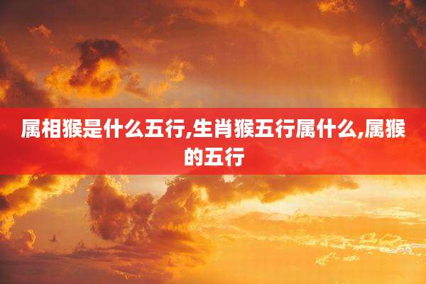 属相猴是什么五行,生肖猴五行属什么,属猴的五行