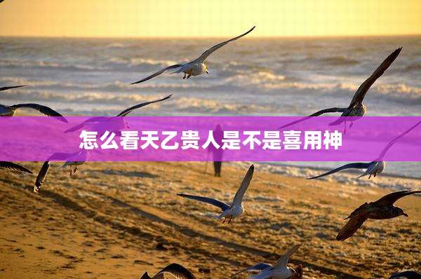怎么看天乙贵人是不是喜用神