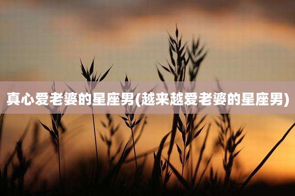 真心爱老婆的星座男(越来越爱老婆的星座男)
