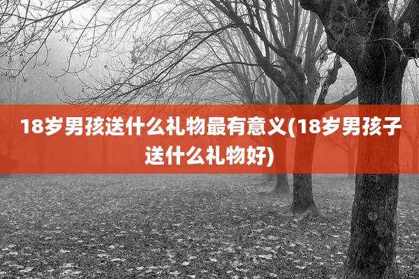 18岁男孩送什么礼物最有意义(18岁男孩子送什么礼物好)