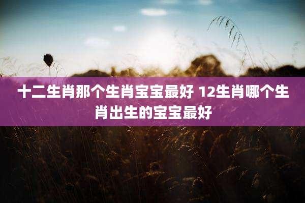 十二生肖那个生肖宝宝最好 12生肖哪个生肖出生的宝宝最好