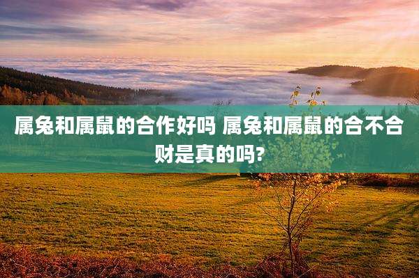 属兔和属鼠的合作好吗 属兔和属鼠的合不合财是真的吗?