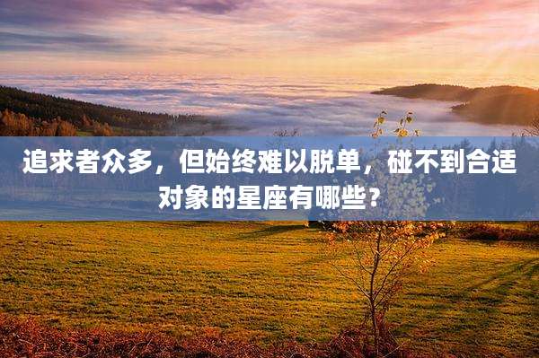 追求者众多,但始终难以脱单,碰不到合适对象的星座有哪些?