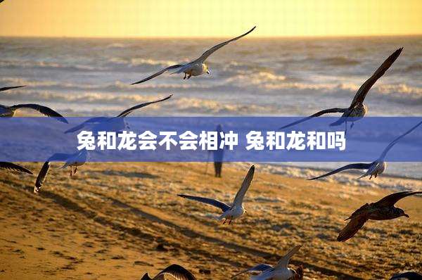 兔和龙会不会相冲 兔和龙和吗