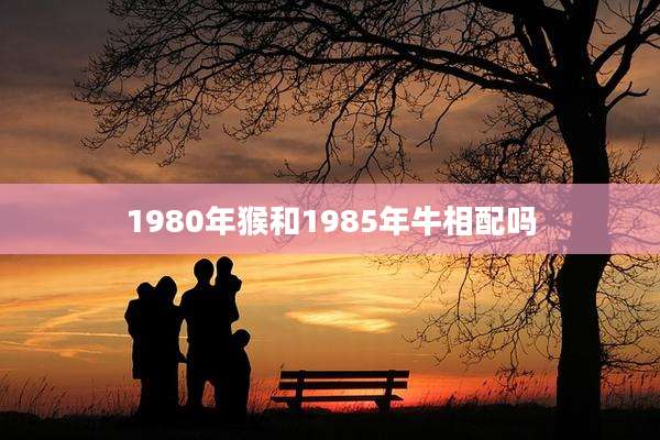 1980年猴和1985年牛相配吗