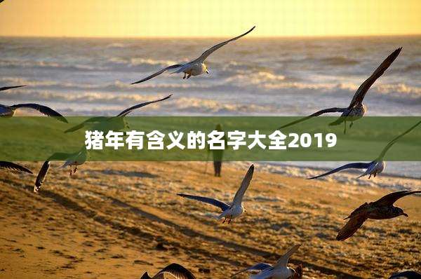 猪年有含义的名字大全2019