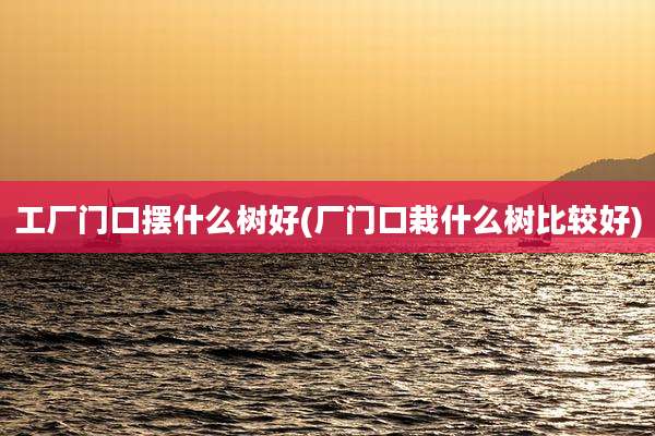 工厂门口摆什么树好(厂门口栽什么树比较好)