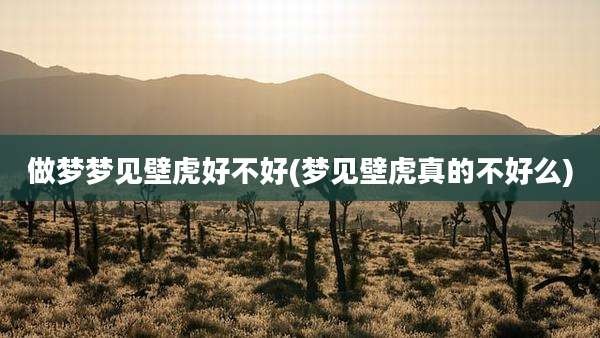 做梦梦见壁虎好不好(梦见壁虎真的不好么)